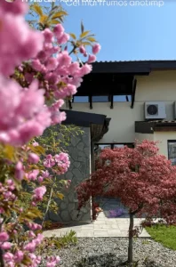 Cum arată grădina Andreei Bănică. Artista a arătat imagini din curtea casei