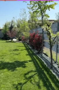 Cum arată grădina Andreei Bănică. Artista a arătat imagini din curtea casei