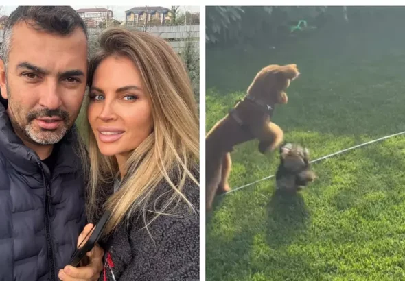 Cum arată grădina Andreei Bănică. Artista a arătat imagini din curtea casei