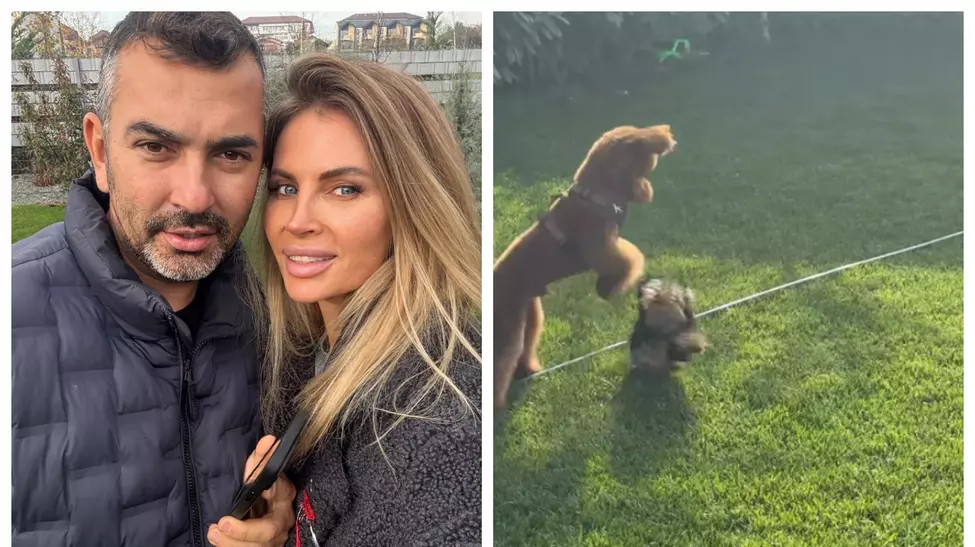 Cum arată grădina Andreei Bănică. Artista a arătat imagini din curtea casei