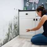 Cum îți dai seama că ai prea multă umiditate în casă